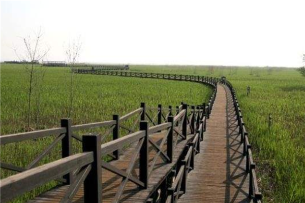 魔都常年免费的6个景点 上海博物馆承载历史朱家角古镇上榜插图2