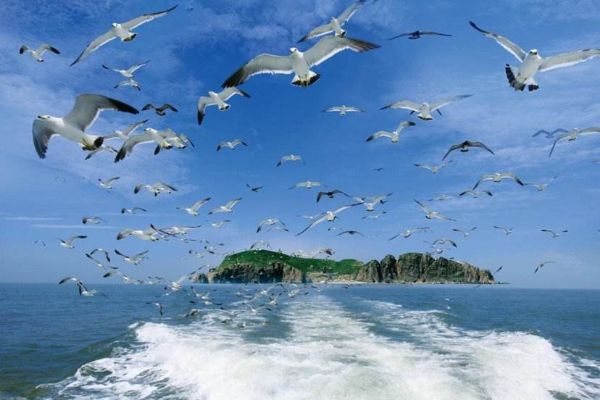 十大最适合穷游的沿海城市 这些城市不仅好玩而且不花钱插图1