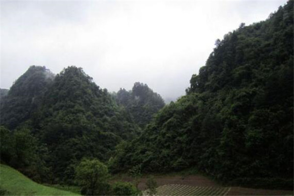 荆门最好玩的地方推荐 荆门好玩的地方排行榜插图5