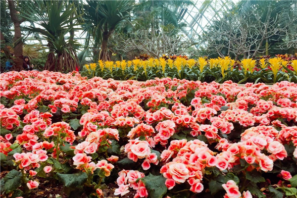 重庆十大最好玩的景点 洪崖洞建筑风格独特金刀峡具有特色插图9