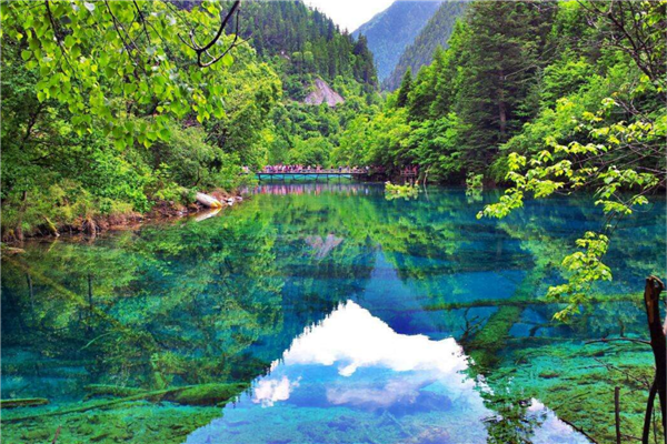 四川十大最受欢迎景点 九寨沟与熊猫基地值得一去插图