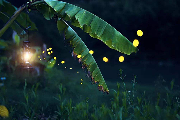 厦门旅游必去十大景点 环岛路上榜 第一名美到可以拍偶像剧插图5