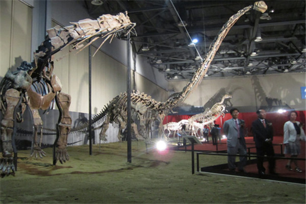 中山十大热门展馆排名：巨龙博物馆第7，第9酱油主题插图5