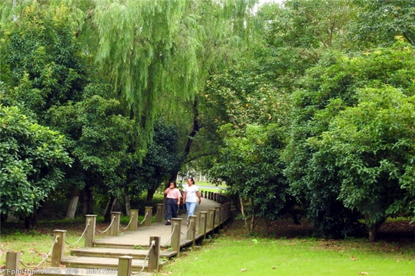 合肥十大风景名胜排行榜：姥山岛景区上榜，它的历史悠久插图7
