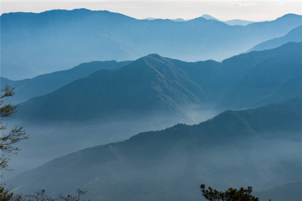 台湾十大旅游景点：阿里山风景区上榜，它写入小学课本插图6