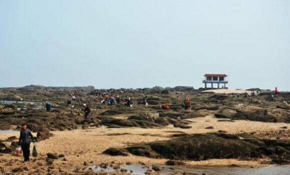 日照好玩的地方排行榜 东夷小镇上榜,第一有日照最好的沙滩插图4