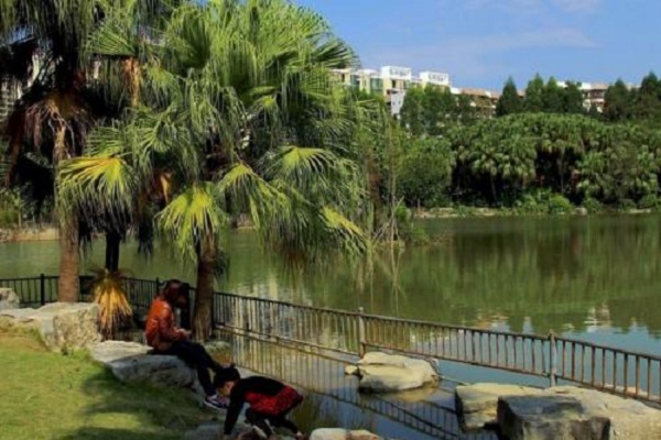 南宁十大人少好玩景点：西津湖第六，第一“水上桂林”插图9