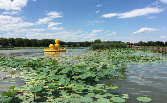 保定好玩的地方排行榜 野三坡的百里峡号称天下第一峡插图