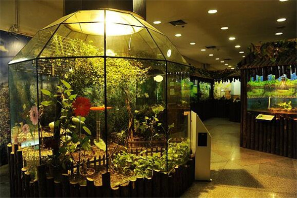 上海值得去的冷门景点 新场古镇上榜，第七国内规模靠前插图4