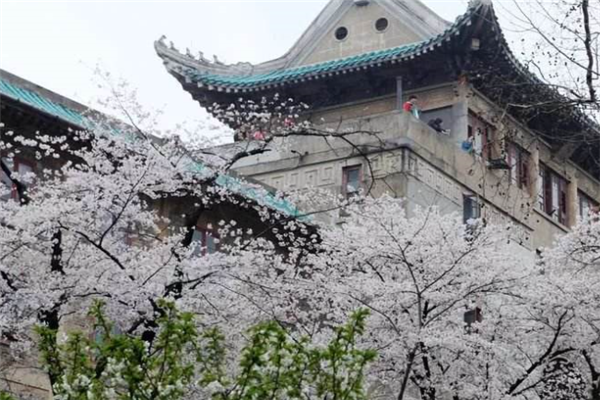 湖北十大旅游景点：黄鹤楼上榜，第三是我国最大的溶洞插图9