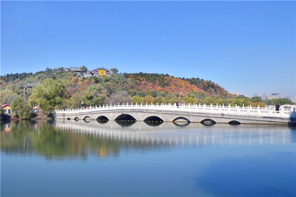 东北最值得去的城市排名 哈尔滨上榜 长春最值得去插图5