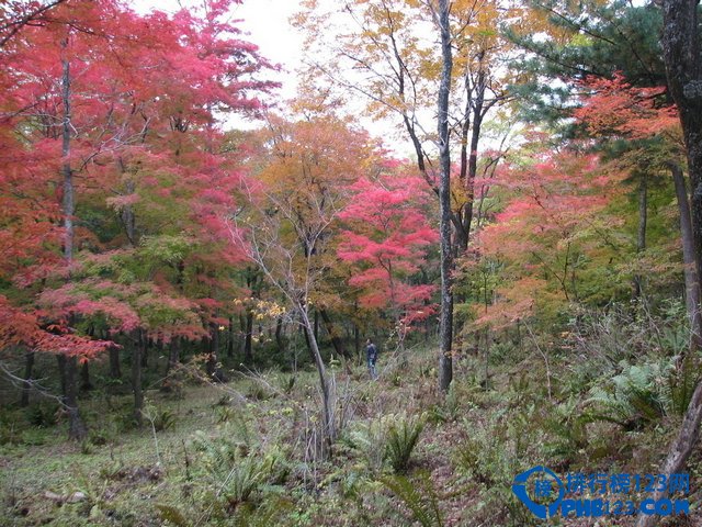 中国十大最适合穷游的城市排行榜插图4