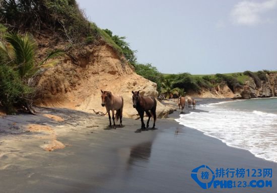 世界上最美的十五个黑色沙滩插图11