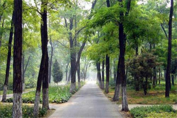 顺义旅游必去景点排行榜：唐指山风景区第3 第4采摘樱桃插图7