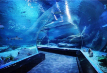 重庆旅游必去景点排名 长江索道与解放碑都值得体验|爱分享