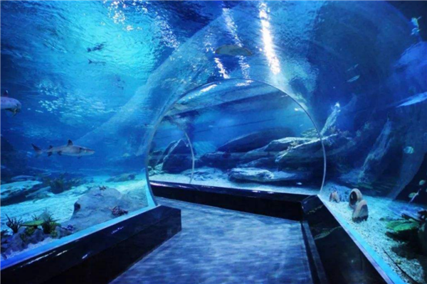 重庆旅游必去景点排名 长江索道与解放碑都值得体验插图9