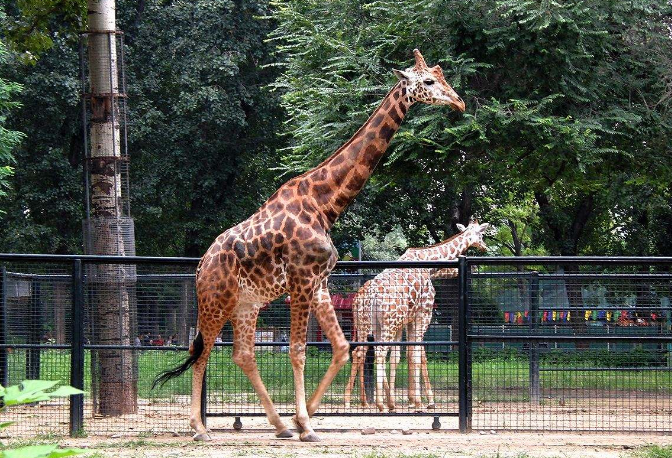 石家庄亲子游排名 好玩又方便，你去对地方了吗插图4