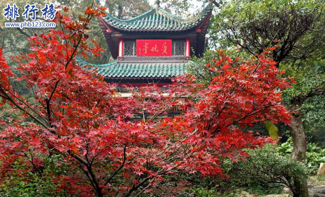 长沙有什么好玩的地方？长沙旅游必去的景点排行榜插图5