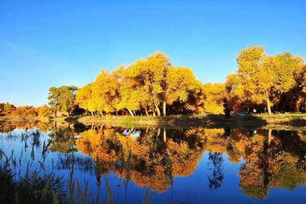 10-11月国内旅游最佳地排行榜 喀纳斯上榜第2美不胜收插图3