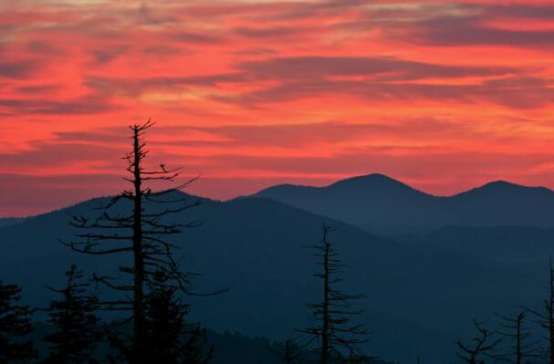 全球十大著名的火车旅行路线 第一路线车票最少都1000美元插图8