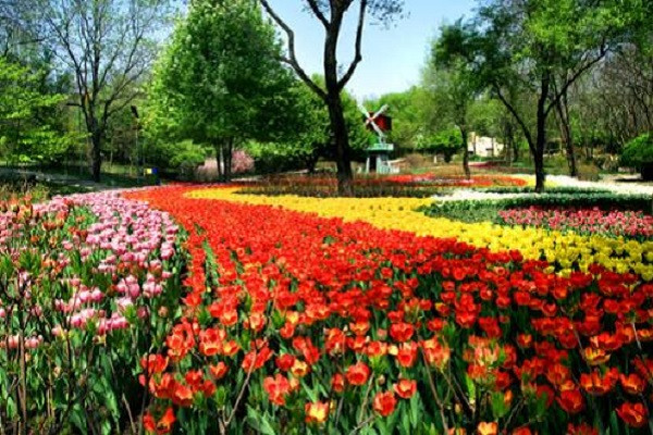 沈阳十大最值得去的景点：棋盘山第二，第八朝鲜民族风情插图