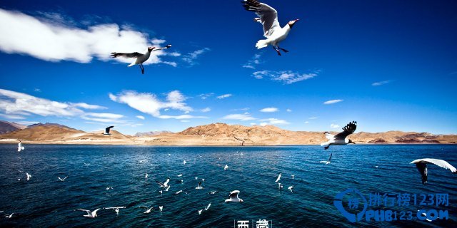 盘点西藏的十大顶级美景插图6