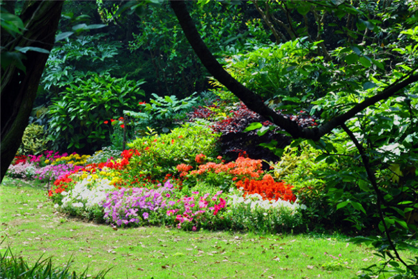 泉州十大公园排行榜：茶都广场上榜，文贞公园第八插图4