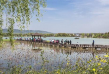 苏州十大最受欢迎景点：玄妙观上榜，第三是千年古镇|爱分享