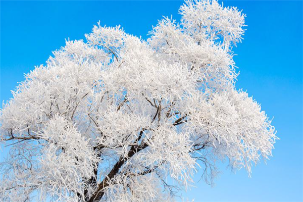 中国十大最美雾凇观赏地：衡山上榜，第六是天鹅栖息地插图6