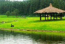 湖州十大最好玩的地方：三九坞上榜，第三有千年历史|爱分享