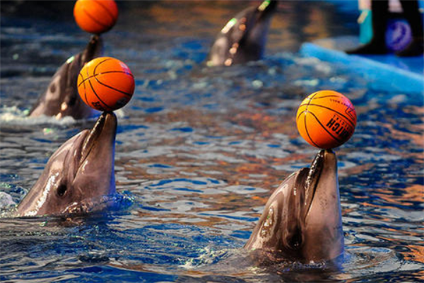 大连十大最好玩的景点：棠梨乐游谷上榜，第九可以赶海插图7