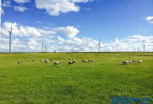 北京周边最美10大草原排行榜|爱分享