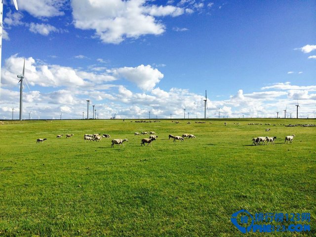 北京周边最美10大草原排行榜插图9