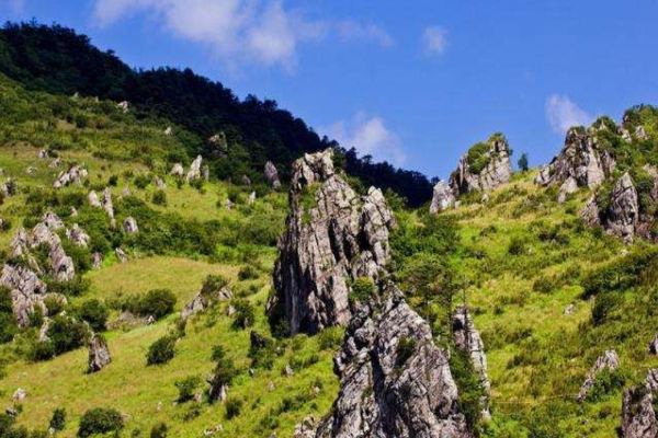 湖北十大好玩的景点 黄鹤楼与武汉大学上榜插图9