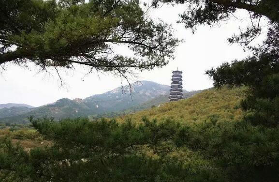 莱芜好玩的地方排行榜 莱芜十大最好玩的地方推荐插图8