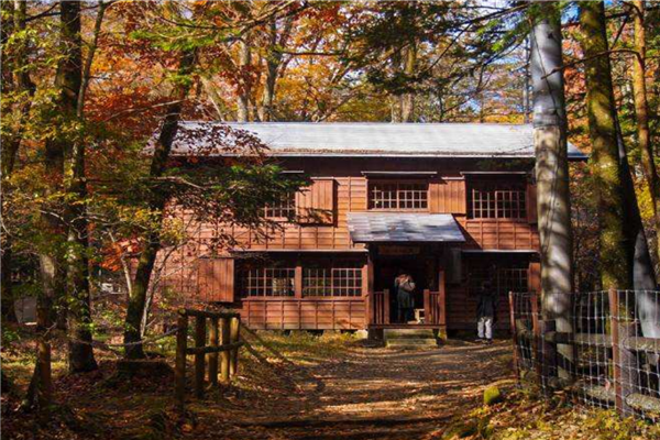 日本十大旅游城市 去日本旅游必去的地方有哪些插图1