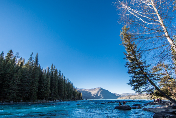 国内适合3天旅游的地方排行榜：乌镇排行第一，丽江古城排行第二插图5