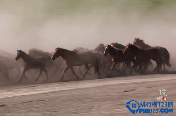 中国最美的景点排行插图25