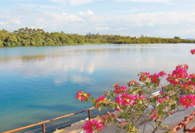 广东廉江十大最好玩的景点：双峰嶂上榜，第六荔枝树超多|爱分享