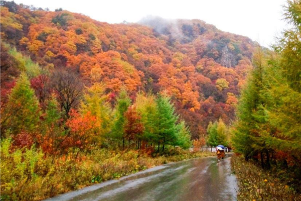 辽宁周边游十大热门景点 辽宁周边游好去处插图4