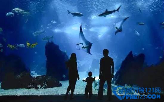 全球十大亲子旅游地排行榜插图2