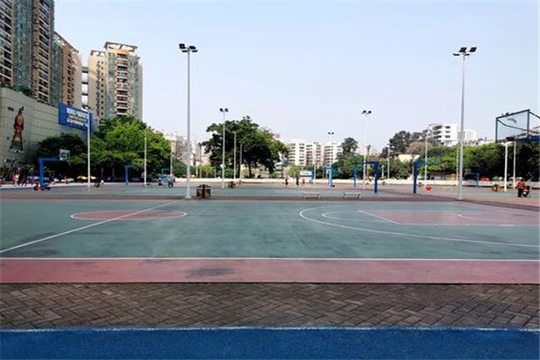 韶关十大公园广场排名:雄州公园上榜，第6看银杏插图7