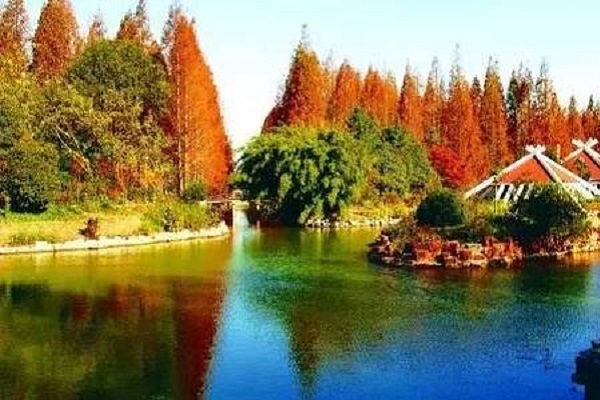 上海郊区十大必游景点：枫泾古镇上榜，第七大上海后花园插图8