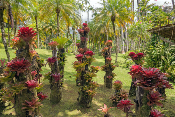 杭州十大公园排行榜：文化公园上榜，它古色古香插图4