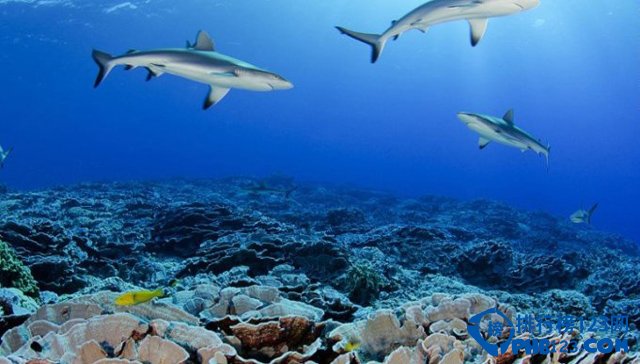 新出炉的世界十大自然保护区排行榜插图5