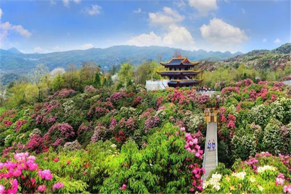 贵阳十大最值得去的景点：甲秀楼上榜，第三杜鹃花海插图2