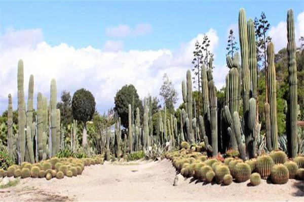 厦门九大网红景点排名：环岛路上榜，第三老铁路改造插图