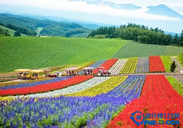 日本TOP9最美小镇等你来光临插图2