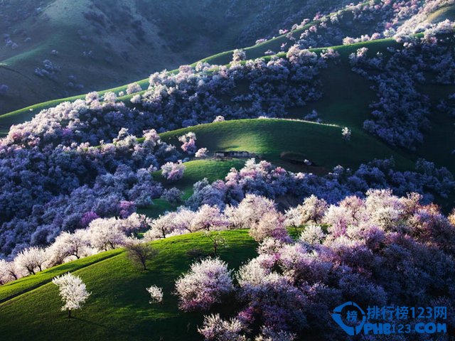 2016年最值得一去的十大踏青地插图9