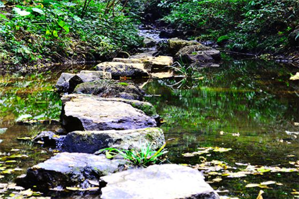 桂林十大人少好玩的景点：逍遥湖上榜，第二是水上乐园插图5